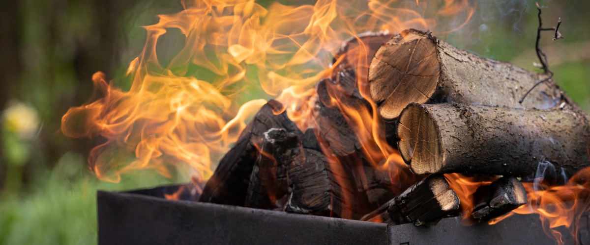 Czy spalanie drewna przyniesie więcej szkody, niż pożytku?