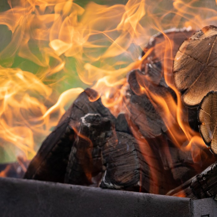 Will burning wood do more harm than good?